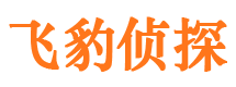 广陵外遇调查取证